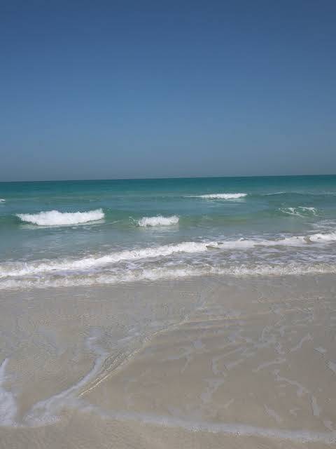Sand vs Salt Air: How Vinyl Wears Differently in Khalifa City vs Saadiyat Island