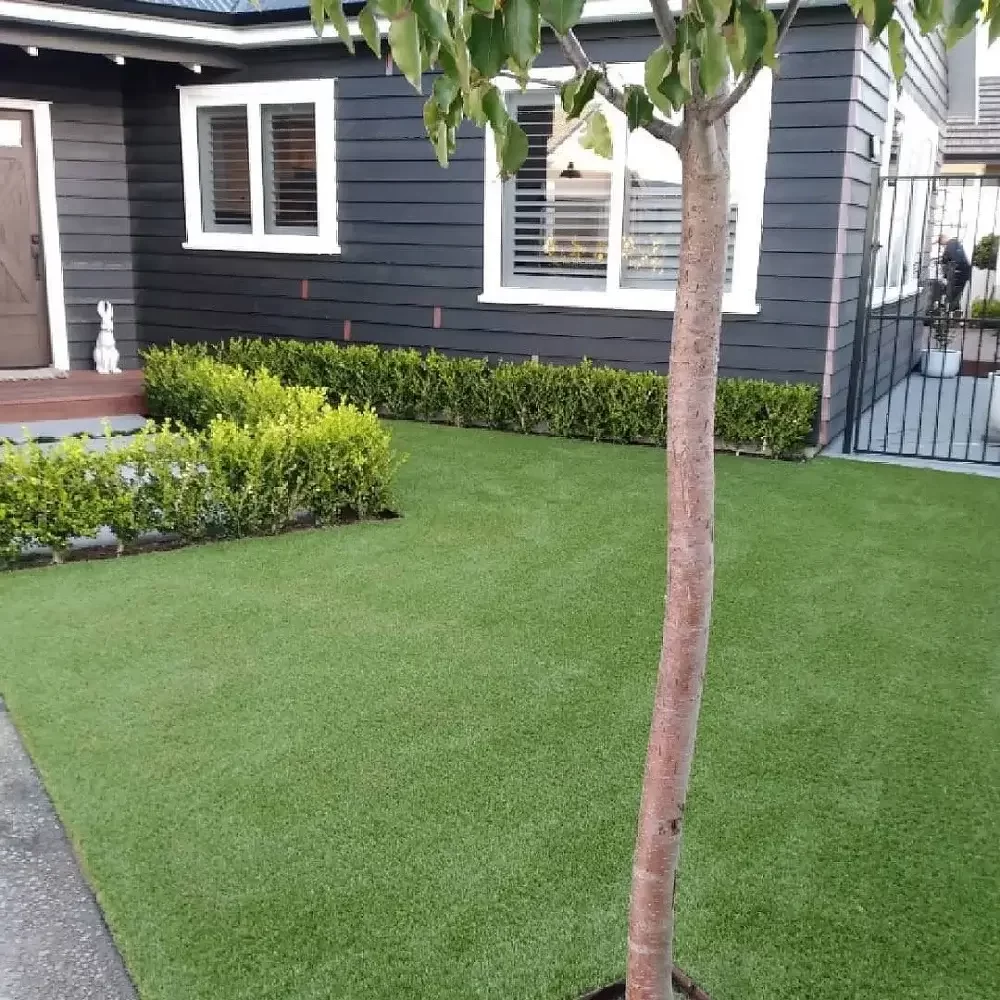 Astro Turf