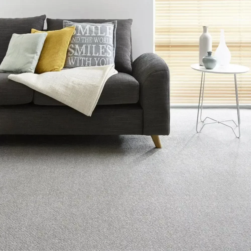 Gray Wall to Wall Carpet (2) (1)