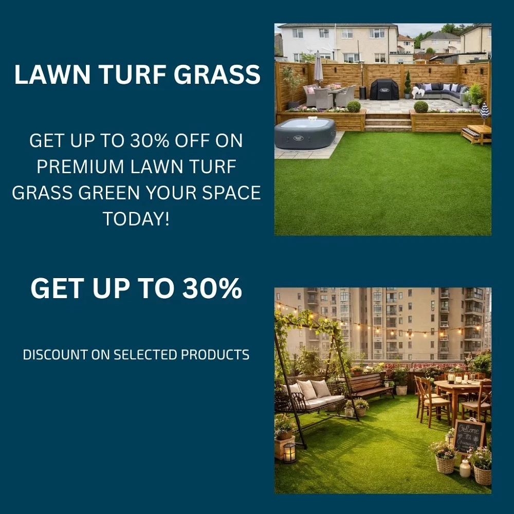 Lawn turf grass