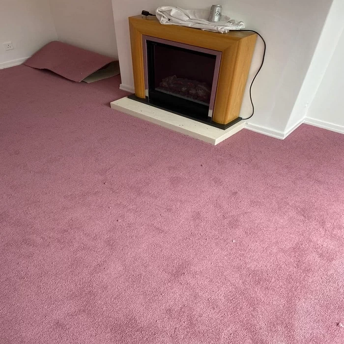 Pink Carpet