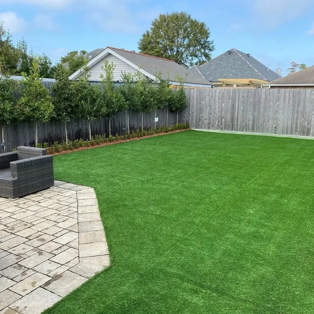 Residential Lawn Turf Grass