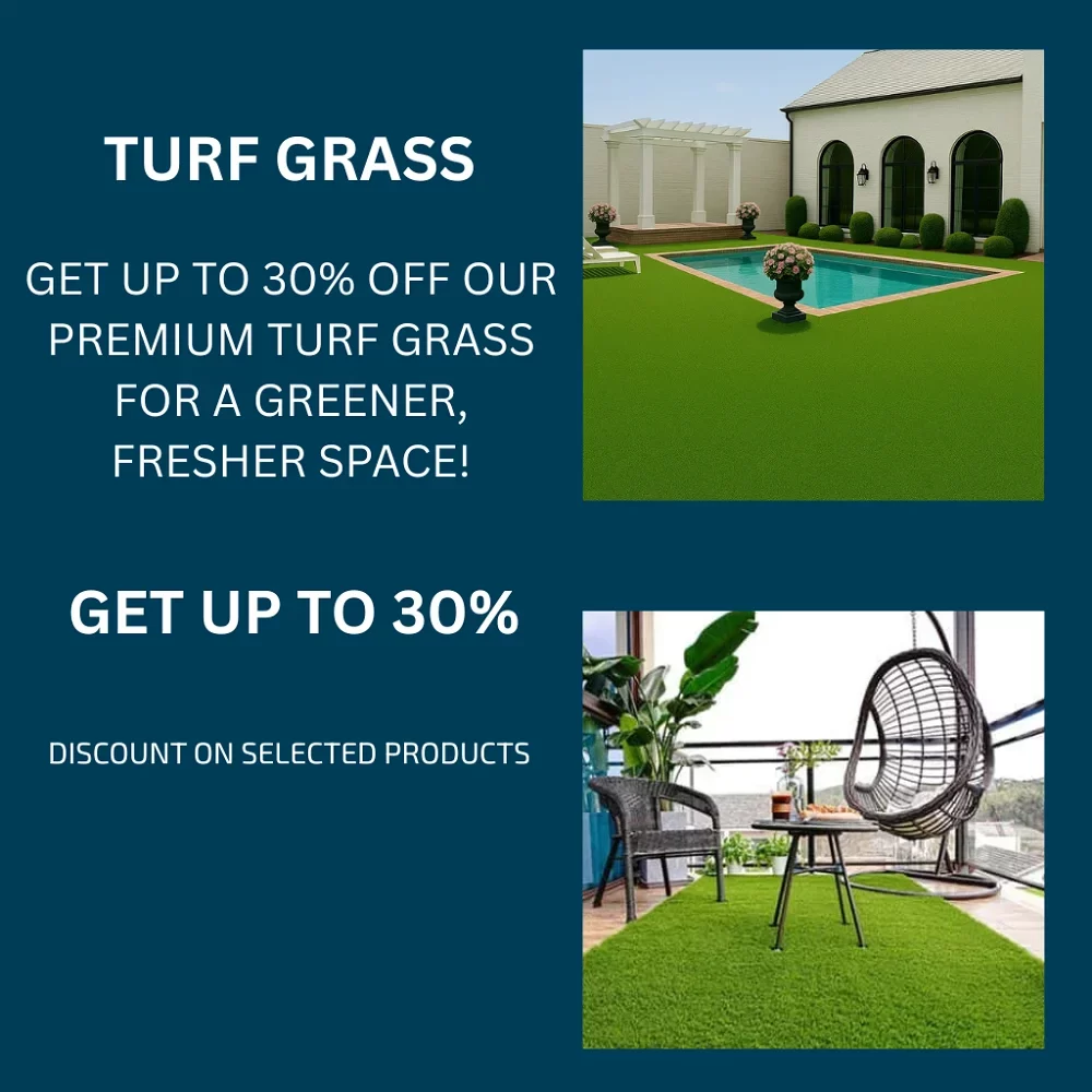Turf Grass